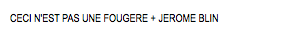 CECI N'EST PAS UNE FOUGERE + JEROME BLIN