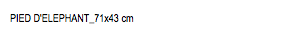 PIED D'ELEPHANT_71x43 cm